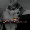 user1970615761266