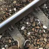 _tobiaszekk__