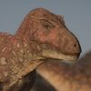 paleoarts