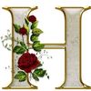 chamsse.ddine7