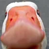 c_t846
