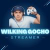 gocho_wilking