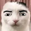 davidsalas8