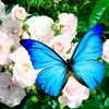 user2195861747668