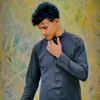 a_ks313