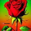 user4803576631630