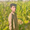 Abid jaNi