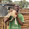 millypawsrescue01
