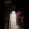 jojah_q98