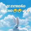 toache23