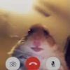 littlebodysmallbrain.44