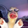 doraexploradora1