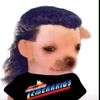 elquiqueinzano