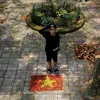hoangdaytravel