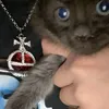 aintnygel