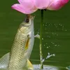 vutinh84.com
