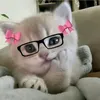 stevejohngomo31