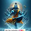 parveen.kuar7093