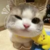 cyrilssss4