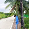 aimilsulay