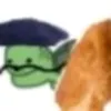 kachirga