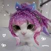 1ts_nayya