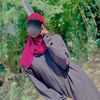 hamdoush2