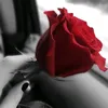 shjwnallrwh3