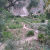 user5741236065407