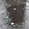 lily_meh