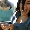 beka.ae31