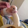 foot_fetishist228