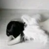 kitt_y.angel