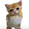 yeshkieii