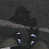 lixan.z