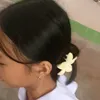 ryzlnics.a