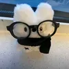 petswim8