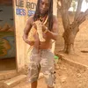 Degaule Panda le Fou Sage