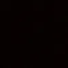 ss.n_33