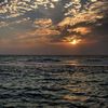 sunshine_24480