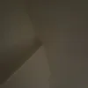 lenociff