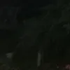 huyhng78