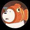 racoon508