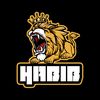 habibmughal1235