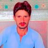 muhammad.shibaz1