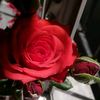 user28806244619510