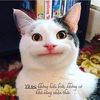 khng.duy839