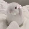 yuri_al_shammari7