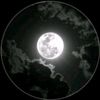 user7196334848815