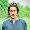 dangar..302